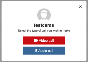 video or audio call
